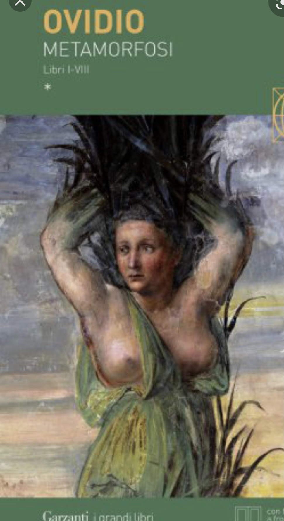 Metamorfosi: questo è il Segreto dellla Seta. Da bruco a farfalla, da bozzolo a filo, attraverso un'infinita trasformazione verso la perfezione!