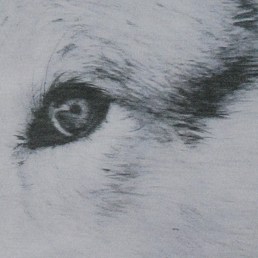 Winter Bestiary - MARTA VITALI